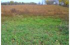 Property photo 21 - 80 Acres & Home - Property Offered in 4 Tracts from 2.3 to 30.0 Acres